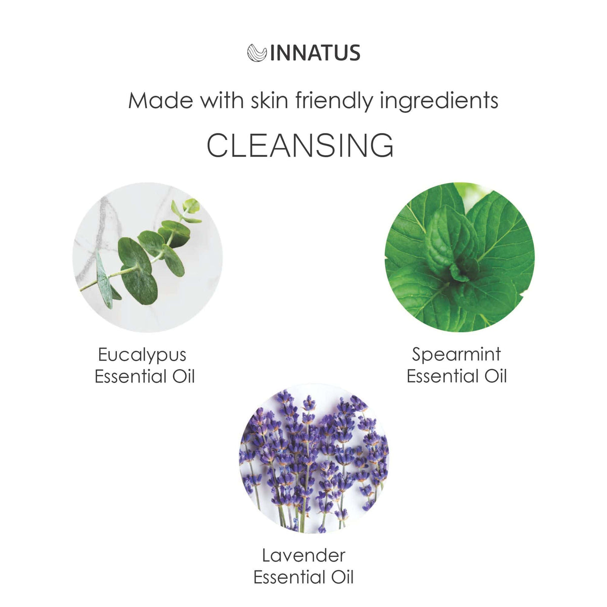 Cleansing Shower Spray with Eucalyptus & Spearmint - Bills variety store