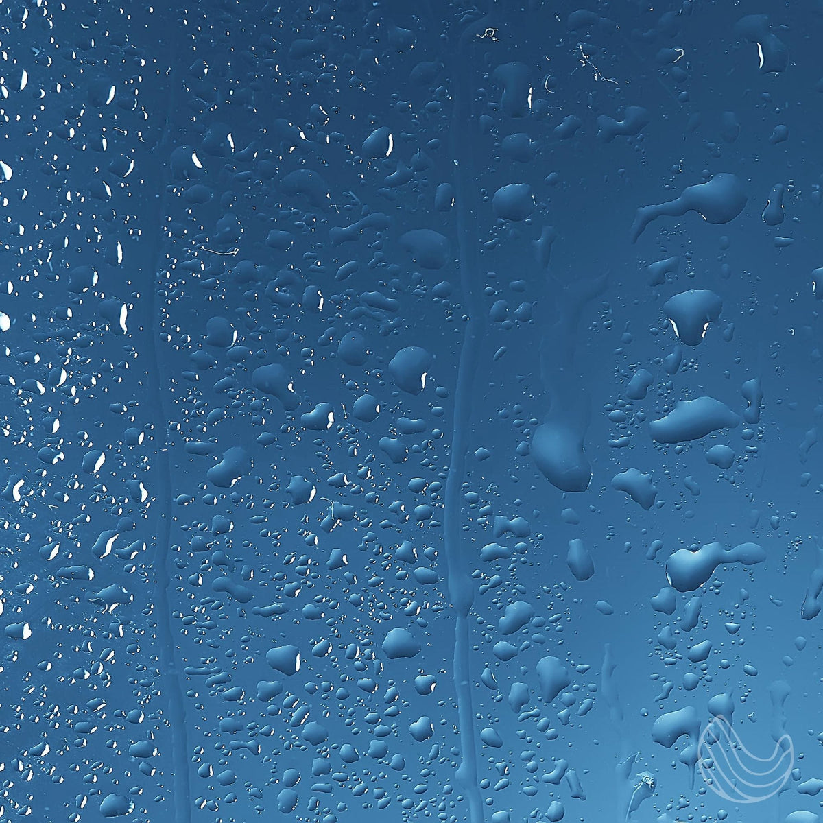 Cleansing Shower Spray with Eucalyptus & Spearmint - Bills variety store