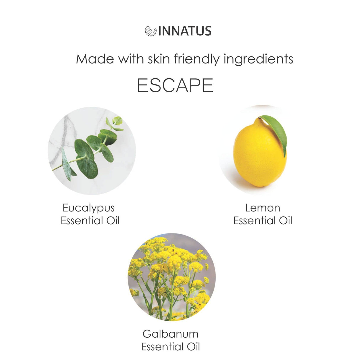 Escape Shower Spray with Eucalyptus & Lemon – 4oz Aromatherapy Shower Steamer Mist for Relaxation & Stress Relief - Bills variety store